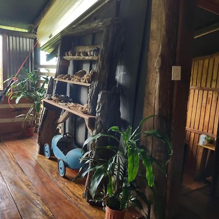 Villa Barba Negra Adventure House Sierpe Esterno foto