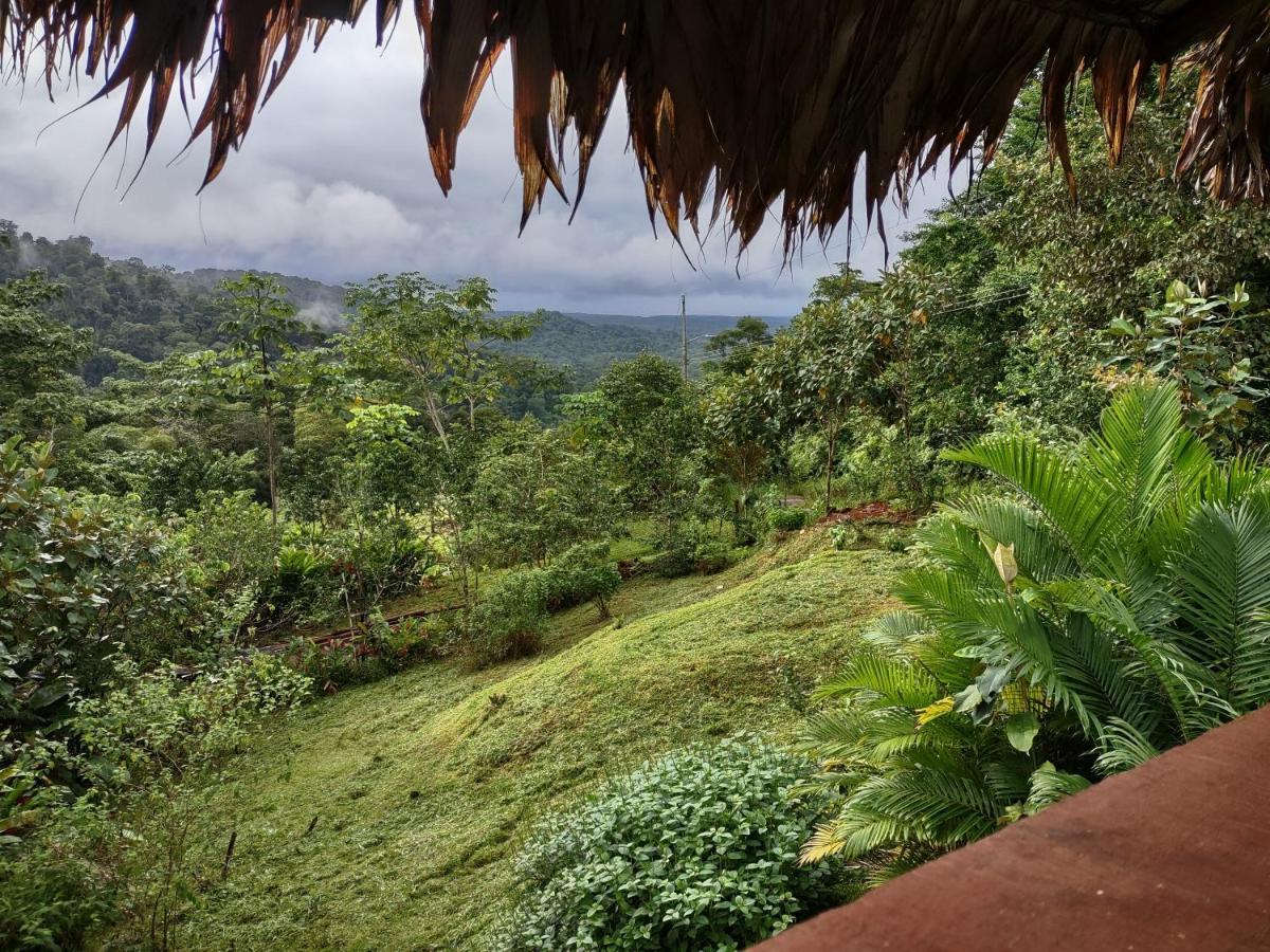 Villa Barba Negra Adventure House Sierpe Esterno foto